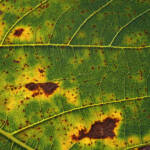 Публикация Полезно 2