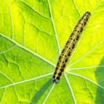 Публикация Полезно 4