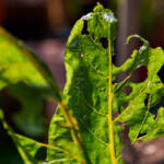 Публикация Полезно 3