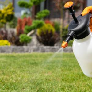 One Hand Pressure Pesticide Sprayer in Use